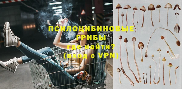 кокаин перу Богданович