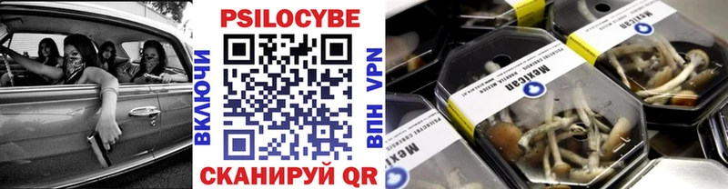 купить   Можайск  Галлюциногенные грибы мухоморы 